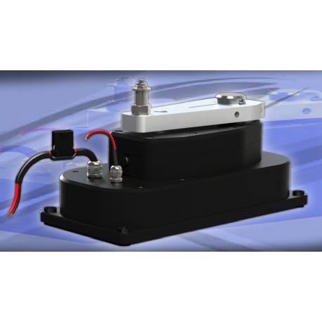 DIRECT DRIVE UNIT 150 KgM TYPE 1 - 12V